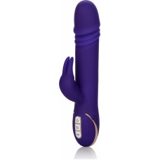 Calexotics Thrusting Rabbit Signature / Purple