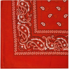 Prowler Red Hanky - oranžs