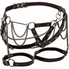 Calexotics Harness With Chains