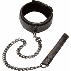 Calexotics Boundless Collar & Leash / Black