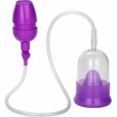 Calexotics Intimate Pump / Purple