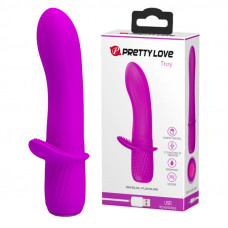 Pretty Love -Troy, 12 vibration functions Memory function