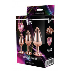 Dream Toys GLEAMING LOVE ROSE GOLD PLUG SET