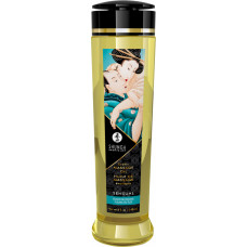 Shunga Erotic Massage Oil