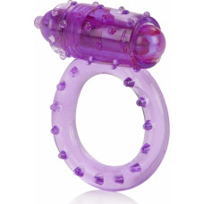 Calexotics One Touch Nubby / Purple