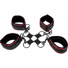 Calexotics Scandal Hog Tie / Black