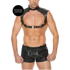 Ouch! By Shots Men's Harness with Collar - One Size