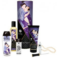 Shunga Secret Set New Carnal Pleasures