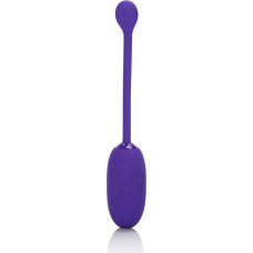 Calexotics Recharg. Kegel Ball Starter / Purple