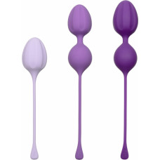 Calexotics Kegel Training 3 Pcs / Purple