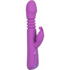 Calexotics Elite Thrusting Rabbit