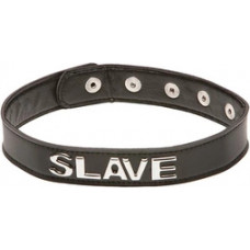 Xplay By Allure Slave - Collar