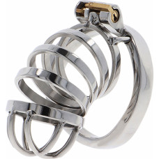 Hidden Desire Chastity Cock Cage Metal