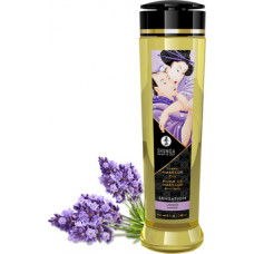 Shunga Erotic Massage Oil - Lavender - 8 fl oz / 240 ml