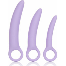 Calexotics Alena Set of 3 Dilators / Purple