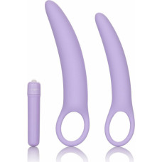 Calexotics Isabelle Set of 2 Dilators / Purple