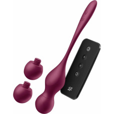 Satisfyer Love Birds Vary Connect App