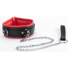 Argus Red Collar And Leash