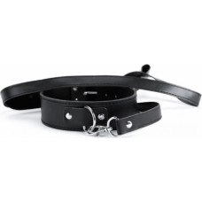 Argus Black Collar And Leash