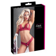 Cottelli Lingerie Rinnahoidja komplekt L