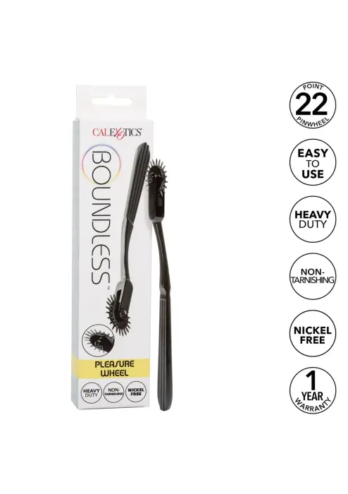 Boundless Pleasure Wheel Foto 5