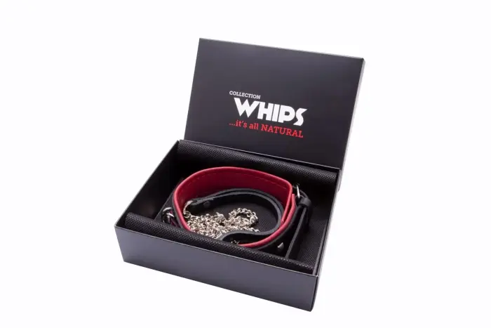 WHIPS Studded Leather Collar with Leash – Black