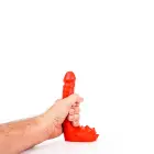 All Red - ABR 26 Photo