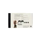 Guilty Pleasure Midnight Suspender Belt – must – L — Foto 5