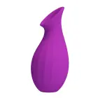 Pretty Love Magic Bottle klitorio stimuliatorius su čiulpimo funkcija — Nuotrauka 4