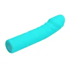 PRETTY LOVE Rylan vibraator – 10 vibratsioonifunktsiooni — Foto 5