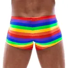 Svenjoyment Rainbow bokseršorti – XL Foto 4