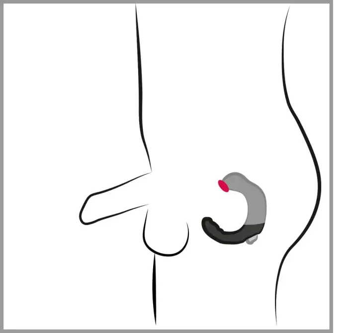 Rebel prostate stimulaator – 20 cm – Must Photo