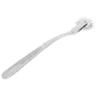 Single Pinwheel Silver Photo