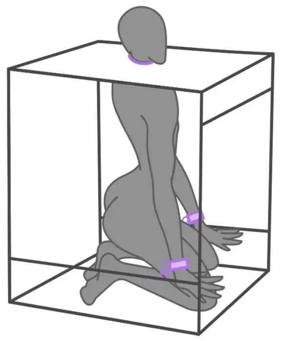 Secret Dome Bukkake BDSM krēsls – violets Foto 13