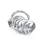 Modern Torture Chastity Device — Photo 10