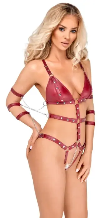 Bad Kitty Bondage Harness Bodysuit with Open Crotch and Detachable Straps – Dark Red – 2XL Photo