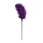 Pejcz Purple Feather Tickler — Photo 2