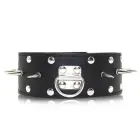 Leather Spiked Collar with Leash — Photo 1