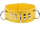 Adjustable Yellow Leather Collar – 5.5 cm — Photo 1