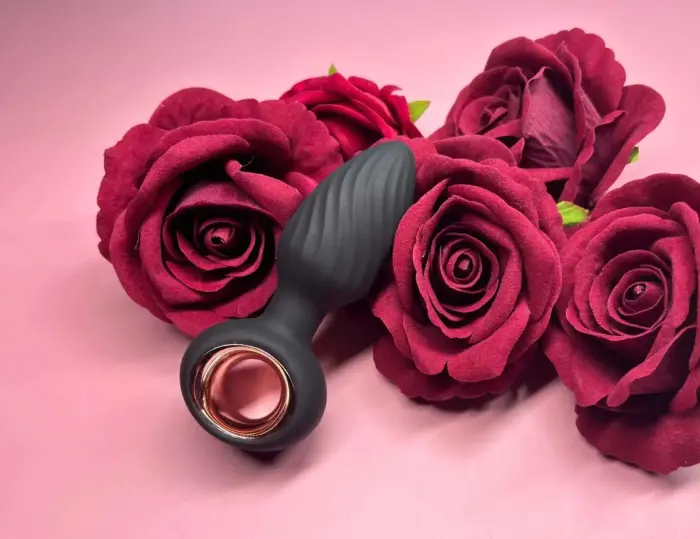 Aisi besisukantis analinis kištukas Photo