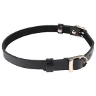 Sportsheets S&M Double Buckle Day Collar – Black / Gold — Photo 4