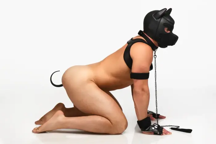 Neoprēna kucēna komplekts – melns Foto 15