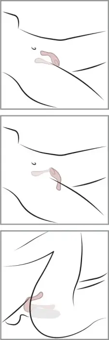 Couples Choice paaride vibraator – silikoonist Photo