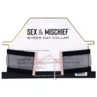 Sportsheets Sex & Mischief Sheer Day Collar, adjustable – black/gold — Photo 7