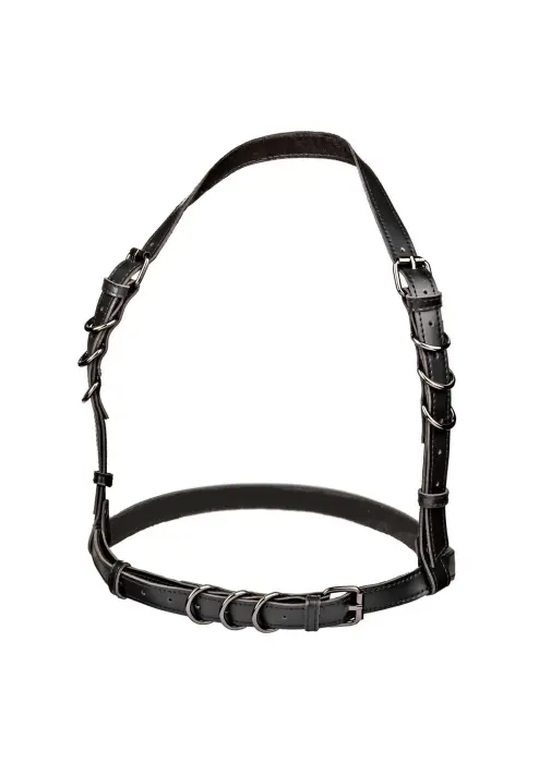 Euphoria Collection Halter Buckle Harness – Black