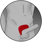 Silicone Fusion - Viper Cock Shield – Red — Photo 8