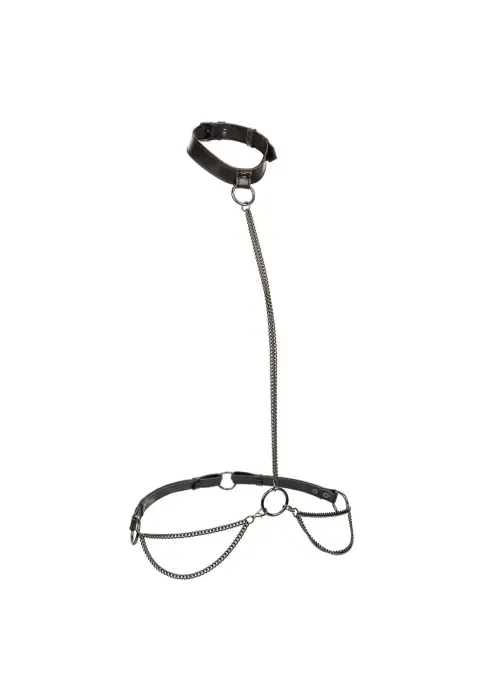 Euphoria Collection Chain Halter & Collar with Leash – Black