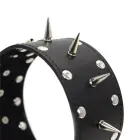 Leather Spiked Collar with Leash — Photo 2
