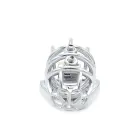 Cruve Torture Chastity Device — Photo 2