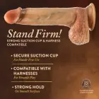 Blush Renaissance Raphael Dildo – 24 cm (9.4″) – Skin — Photo 9